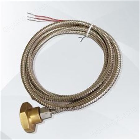 防爆温度传感器