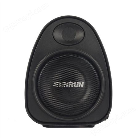 EP-300U1SENRUN EP-300手提无线扩音机供应商